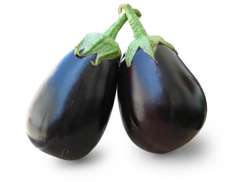 aubergine en septembre