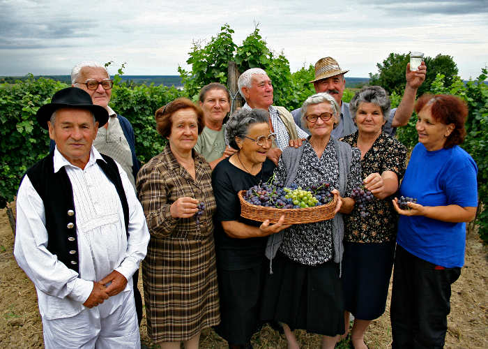 La cueillette de saison